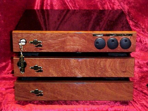 REDGUM RGM300 Monoblock Amplifier