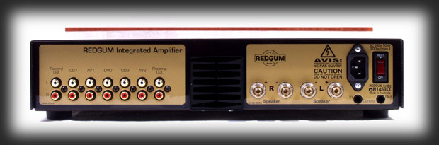 REDGUM RGi120 Amplifier - rear view