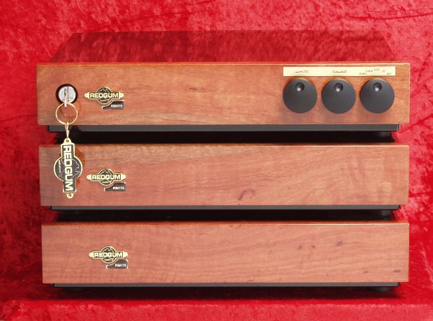 REDGUM RGM175 monobloc amplifier