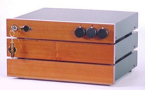 REDGUM RGM300 amplifier